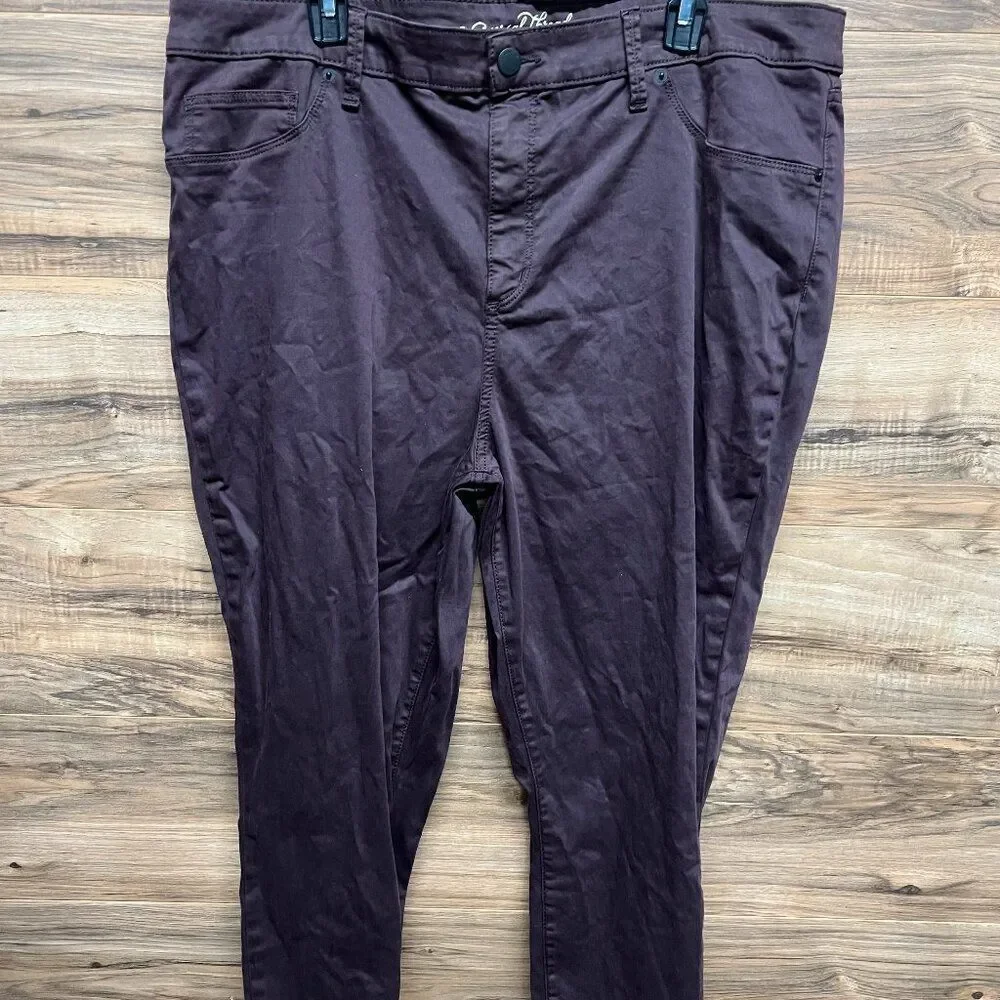Universal Thread high rise jegging‎ 20W